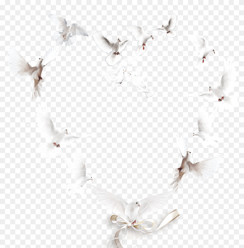 Heart Shape Doves Love Ribbons Decorative Necklace, Animal, Bird, Pigeon Free Png Download