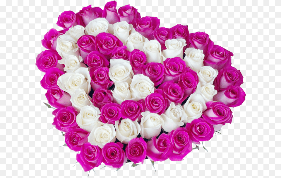Heart Shape Fresh Cut Roses Real Flowers In Heart Shape, Flower, Flower Arrangement, Flower Bouquet, Plant Free Transparent Png