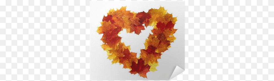 Heart Shaped Frame Of Colorful Maple Leaves Isolated Heart, Leaf, Plant, Tree Png