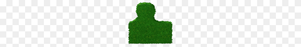 Heart Shaped Topiary Tree Gt Pet In Wonderland Pet City, Fence, Grass, Green, Hedge Free Png Download