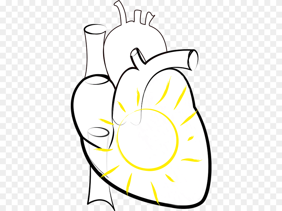 Heart Sun Sun In The Heart Figure Of Speech Heart Outline Medical, Clothing, Hat, Pottery, Food Free Transparent Png