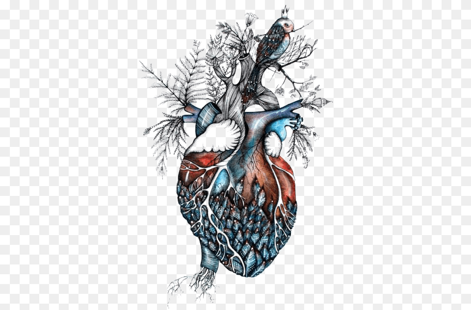 Heart Surreal Anatomical Heart And Bird, Art, Person Free Png