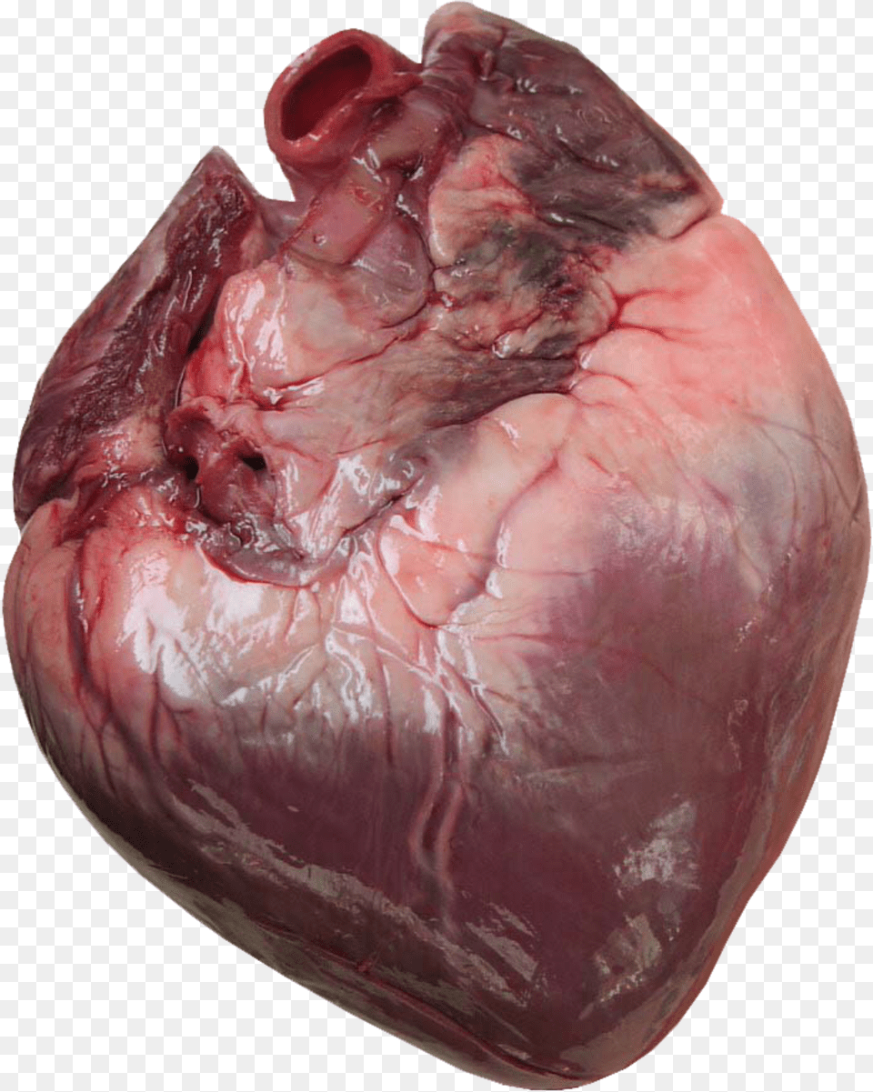 Heart Transparent Human Corazon Humano Real 3d, Animal, Butterfly, Insect, Invertebrate Png Image