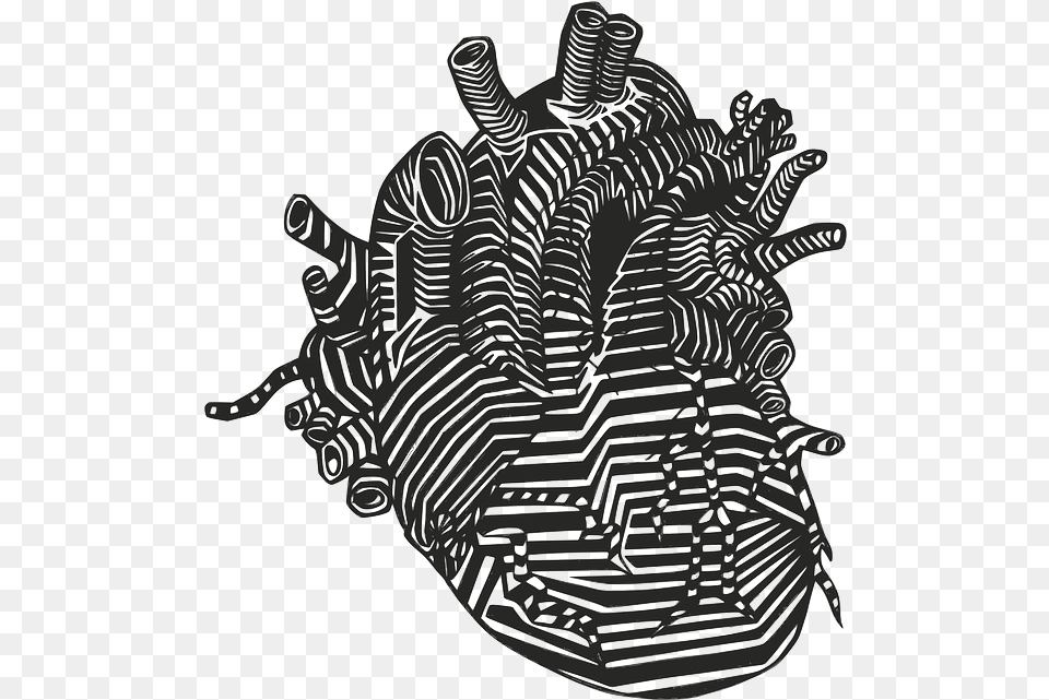 Heart Veins Arteries Human Heart Drawn, Art, Clothing, Glove, Bag Png