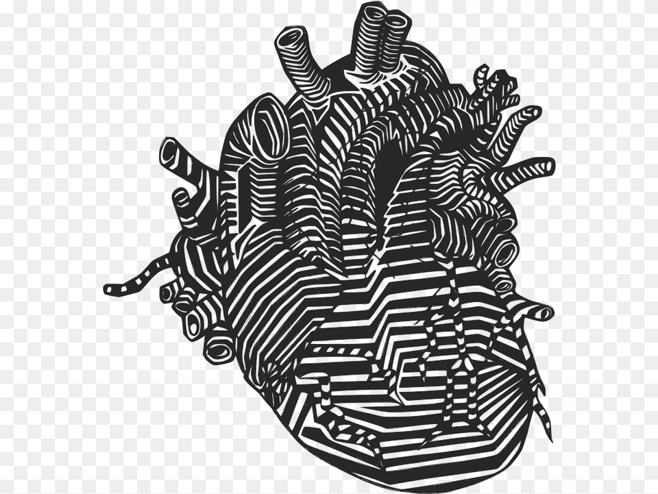 Heart Veins Arteries Vector Graphic On Pixabay Real Heart Vector, Art, Drawing, Bag Free Png