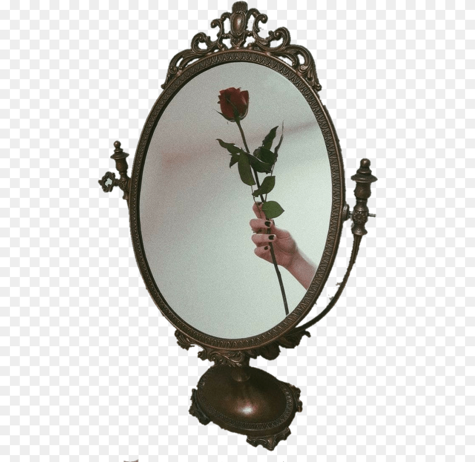 Heart Vintage Mirror Hd Heart Mirror, Flower, Photography, Plant, Rose Free Png Download