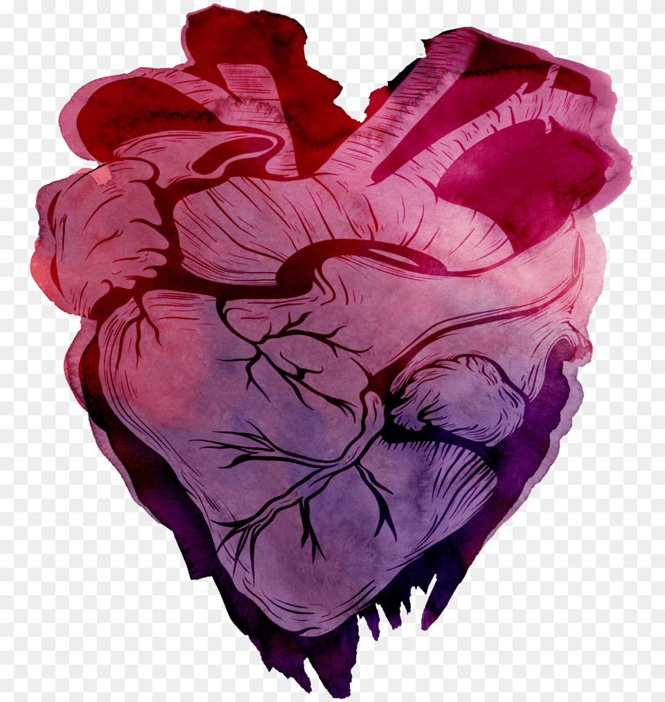 Heart Watercolor Purple Watercolor Heart, Art, Painting, Person, Flower Png Image