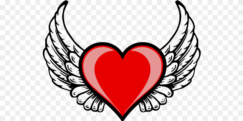 Heart Wing Amor Cupid Love Love Heart With Angel Wings Free Png