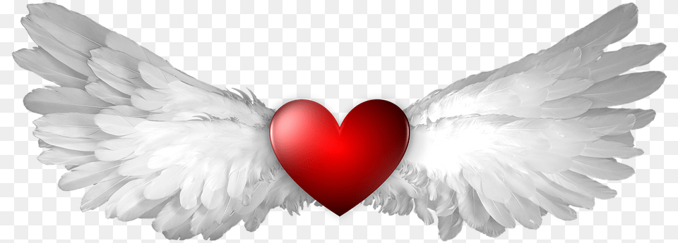 Heart Wing Wings Winged Shape Heaven Heavenly Ange Clip Angelic Hearts, Animal, Bird, Symbol Free Png