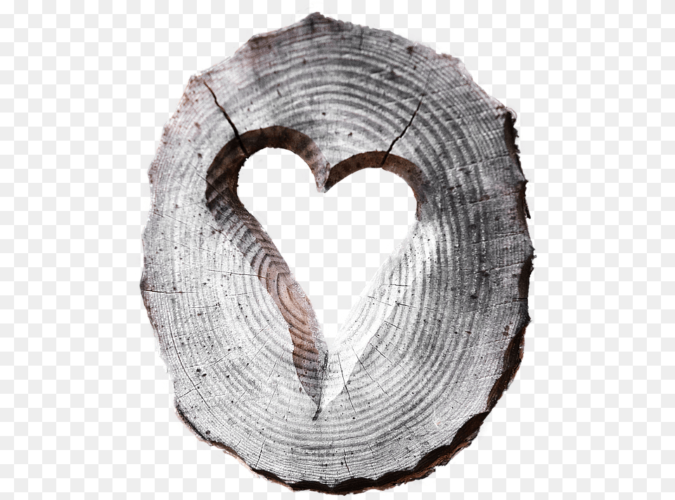 Heart Wood Carved Isolated Of Course Carved Wooden Heart, Plant, Tree, Adult, Male Free Png Download