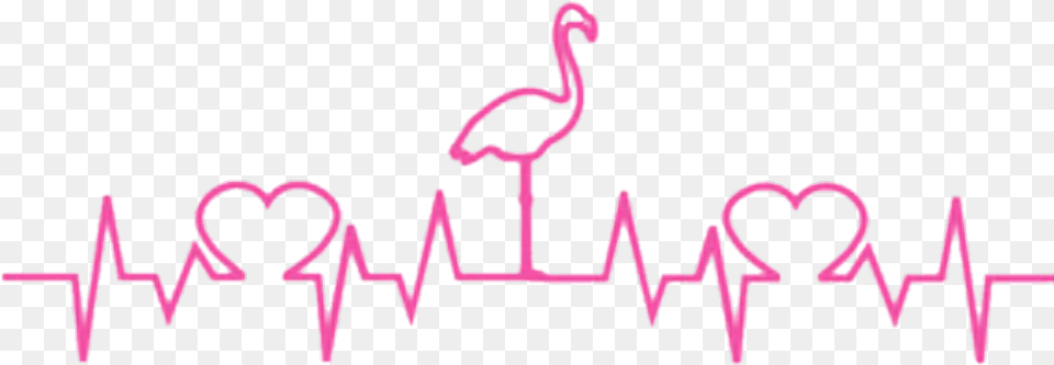 Heartbeat Flamingo Hearts Pink Heartbeat Line Cat Svg, Text, Animal, Bird Png Image