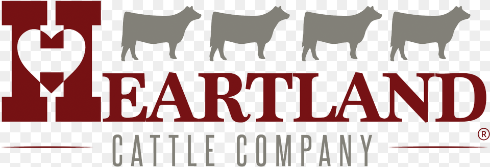 Heartland Cattle Company, Livestock, Dynamite, Weapon, Text Png Image