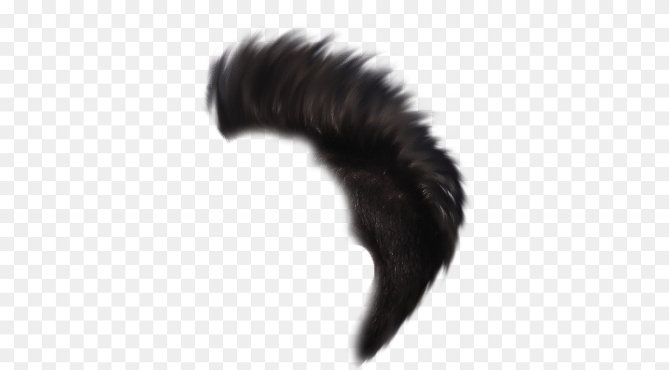 Heartless Hair Heartless Editing Millipedes, Nature, Night, Outdoors, Animal Free Png Download