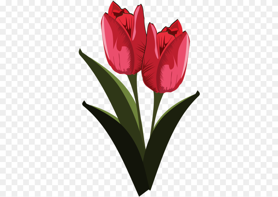 Heartplantflower Clipart Royalty Svg Tulip Clip Art, Flower, Plant, Rose, Petal Png