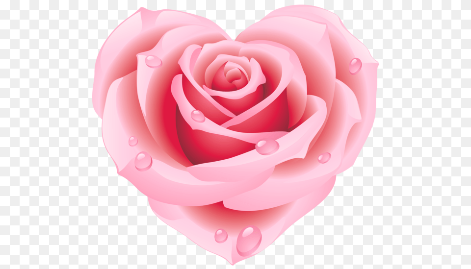 Hearts Pink Roses Heart, Flower, Plant, Rose, Petal Free Transparent Png