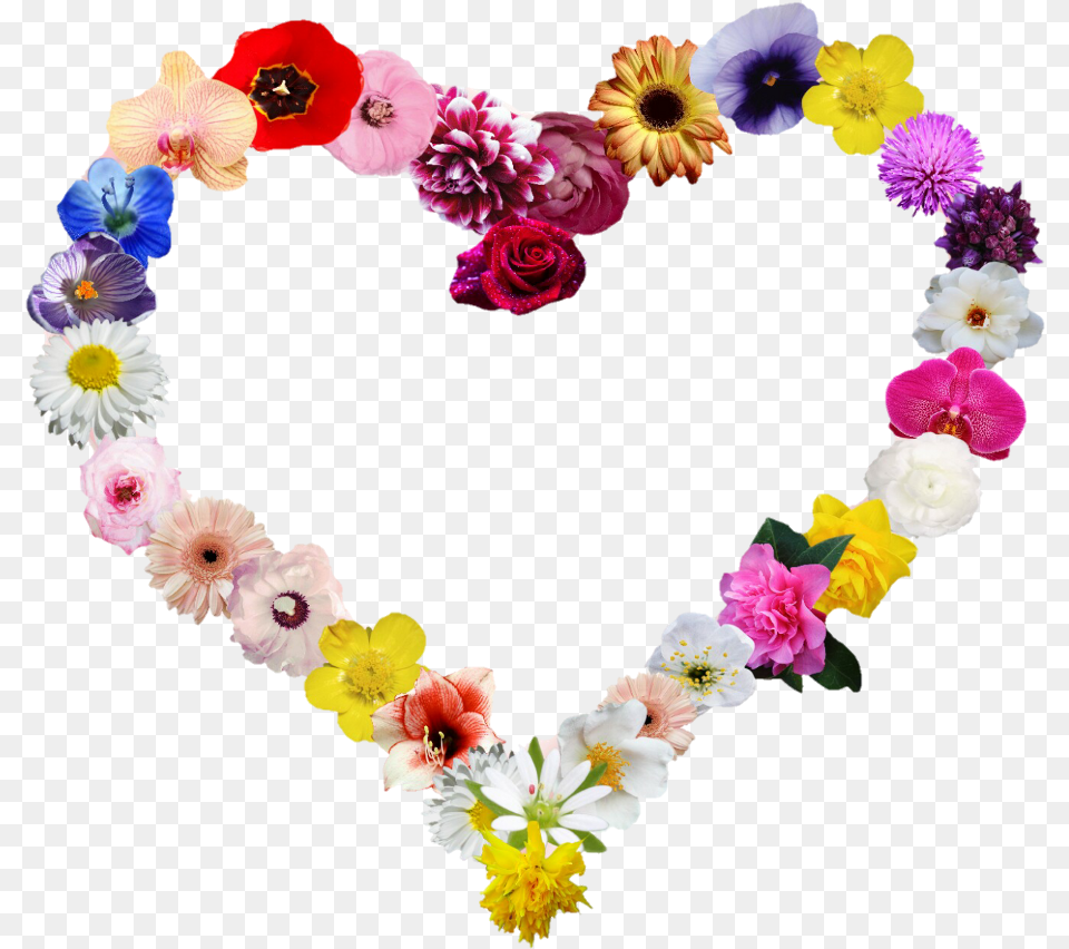 Heartshapes Heart Flowers Shape, Accessories, Flower, Flower Arrangement, Petal Free Transparent Png