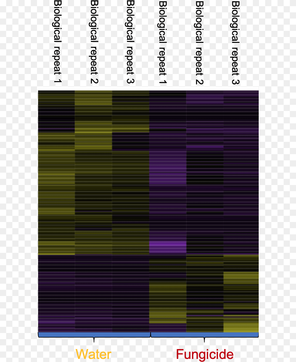 Heat Map With Genes Turned On Or Off Purple, Architecture, Building Png Image