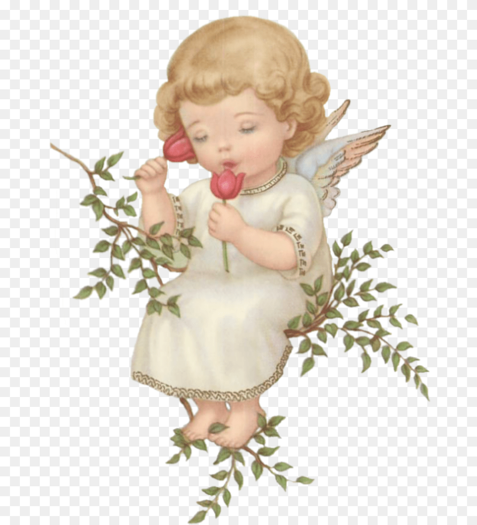 Heaven Cherub Angel, Baby, Person, Face, Head Png Image