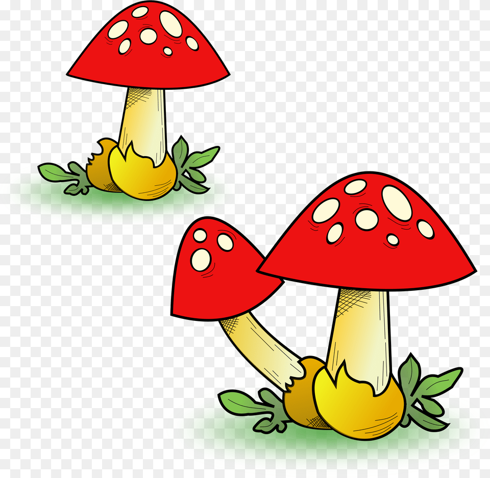 Heavy Fungal Forest Clip Arts Mushroom Clipart, Fungus, Plant, Agaric, Animal Free Png Download
