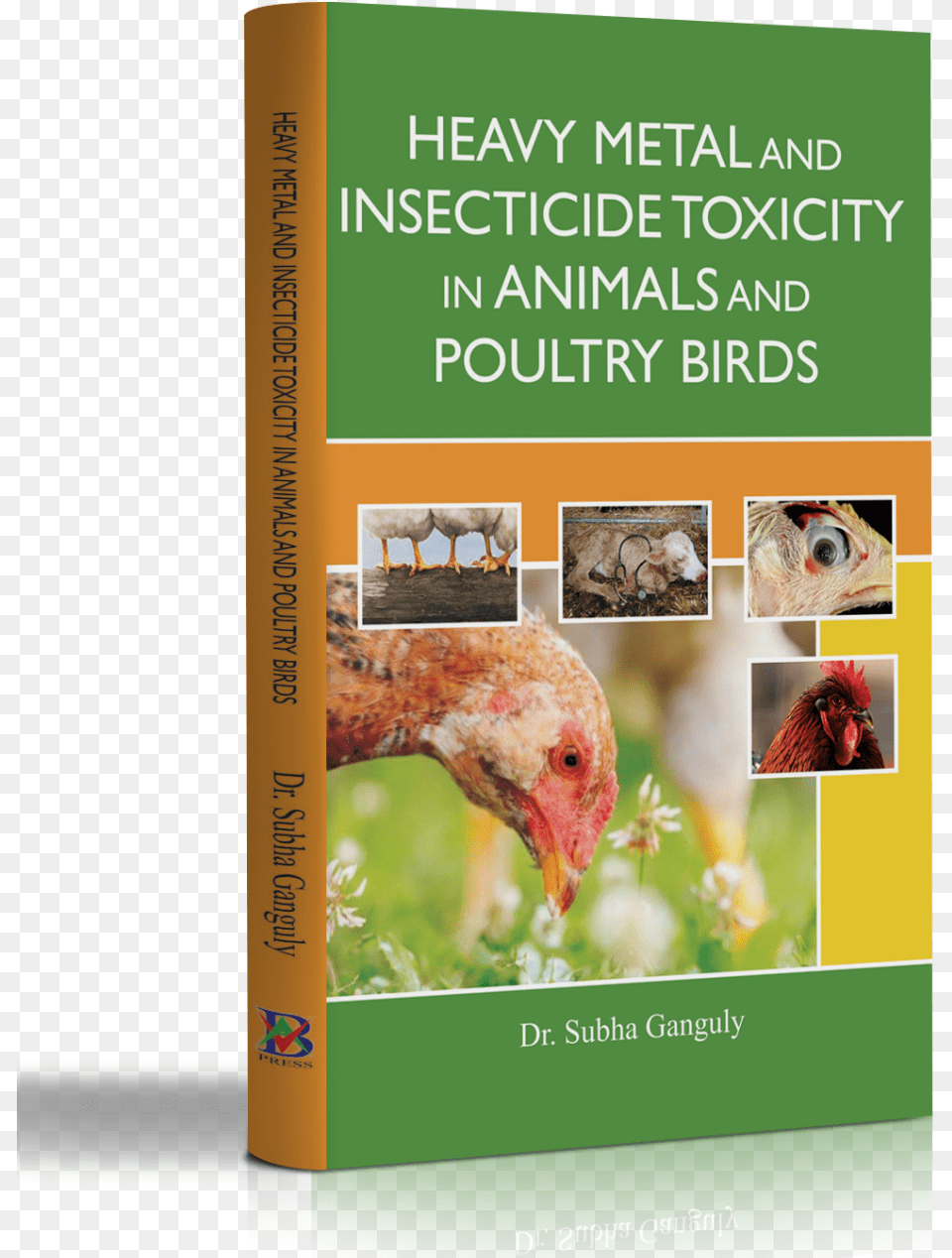 Heavy Metal And Insecticide Toxicity In Animals And Flyer, Animal, Bird, Chicken, Fowl Free Transparent Png