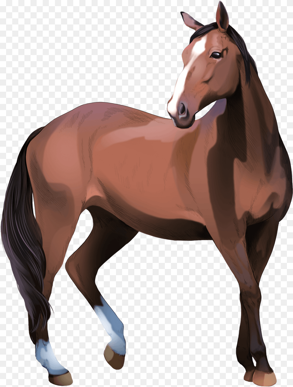Heavy Warmblood Mare Clipart Animal Figure, Colt Horse, Horse, Mammal, Stallion Png Image