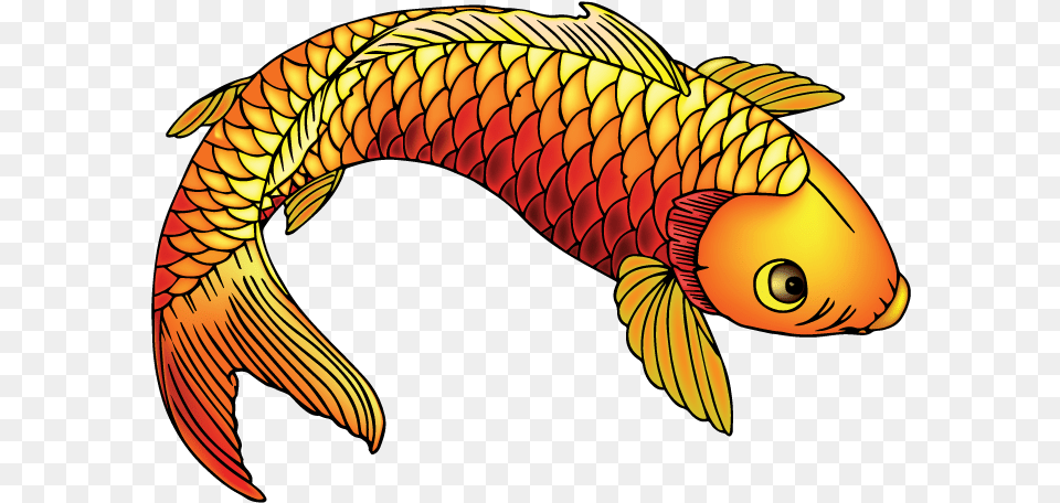 Heckardkyle 0 0 Koi Fish Live Trace By Heckardkyle, Animal, Sea Life, Carp, Bird Png