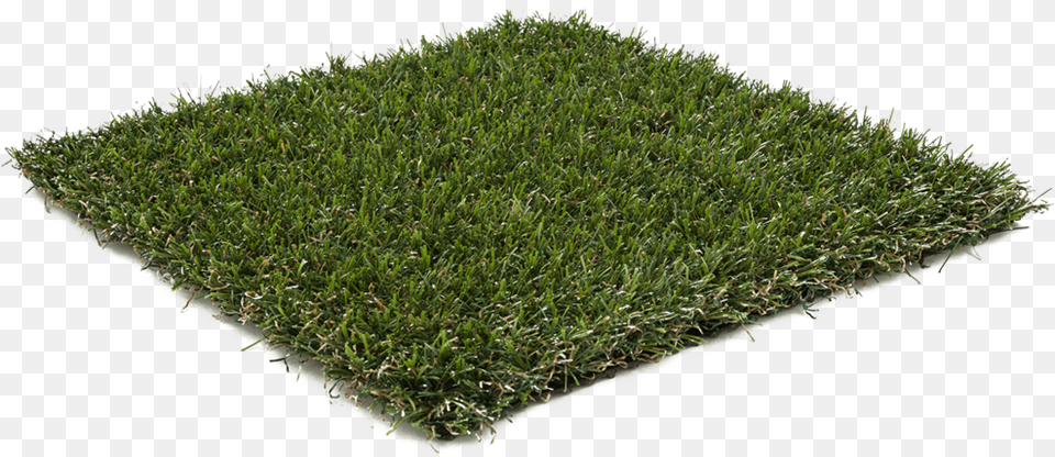 Hedge, Grass, Lawn, Moss, Plant Png Image