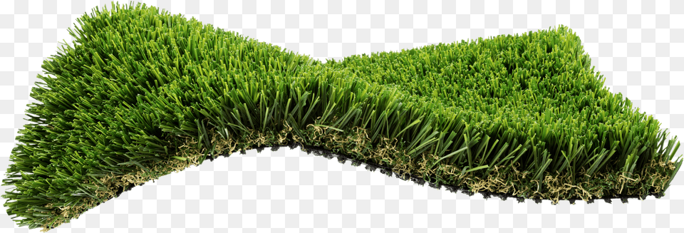Hedge, Vegetation, Plant, Moss, Grass Png Image