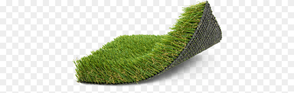 Hedge, Moss, Plant, Grass, Reptile Free Png