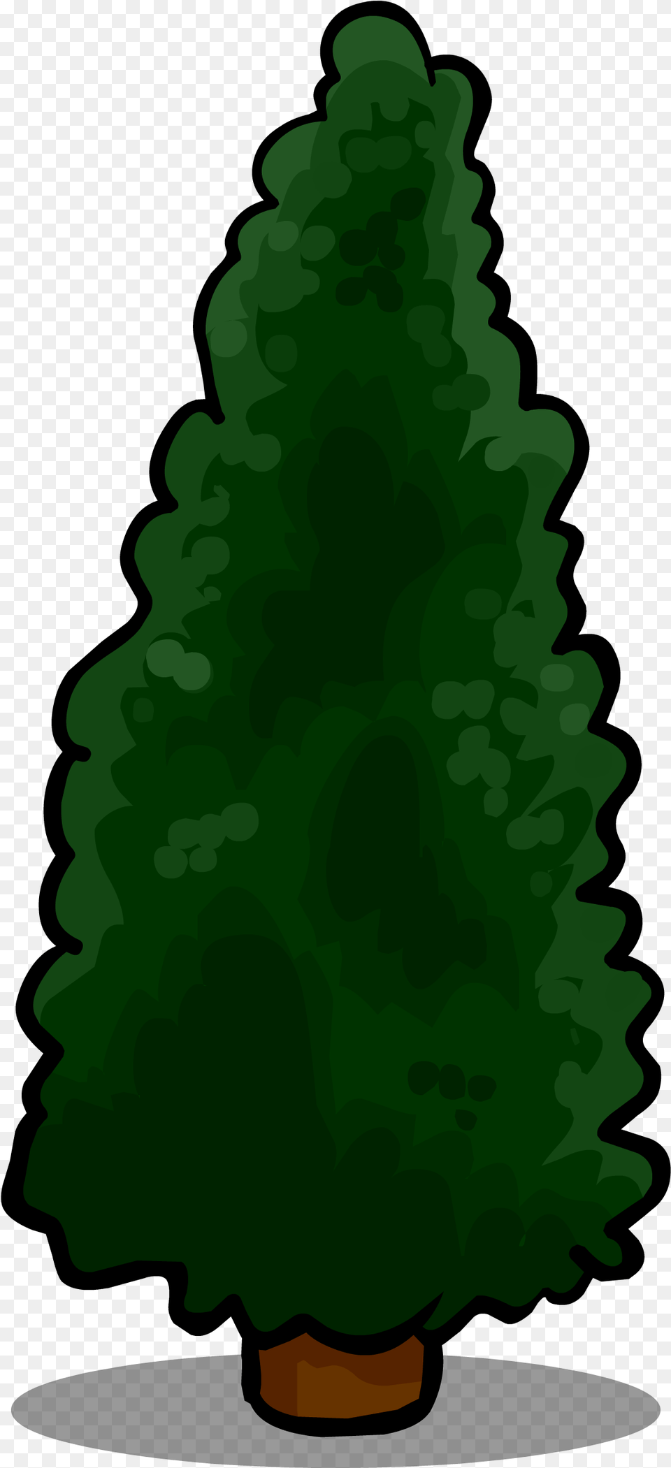 Hedge, Fir, Green, Pine, Plant Png Image