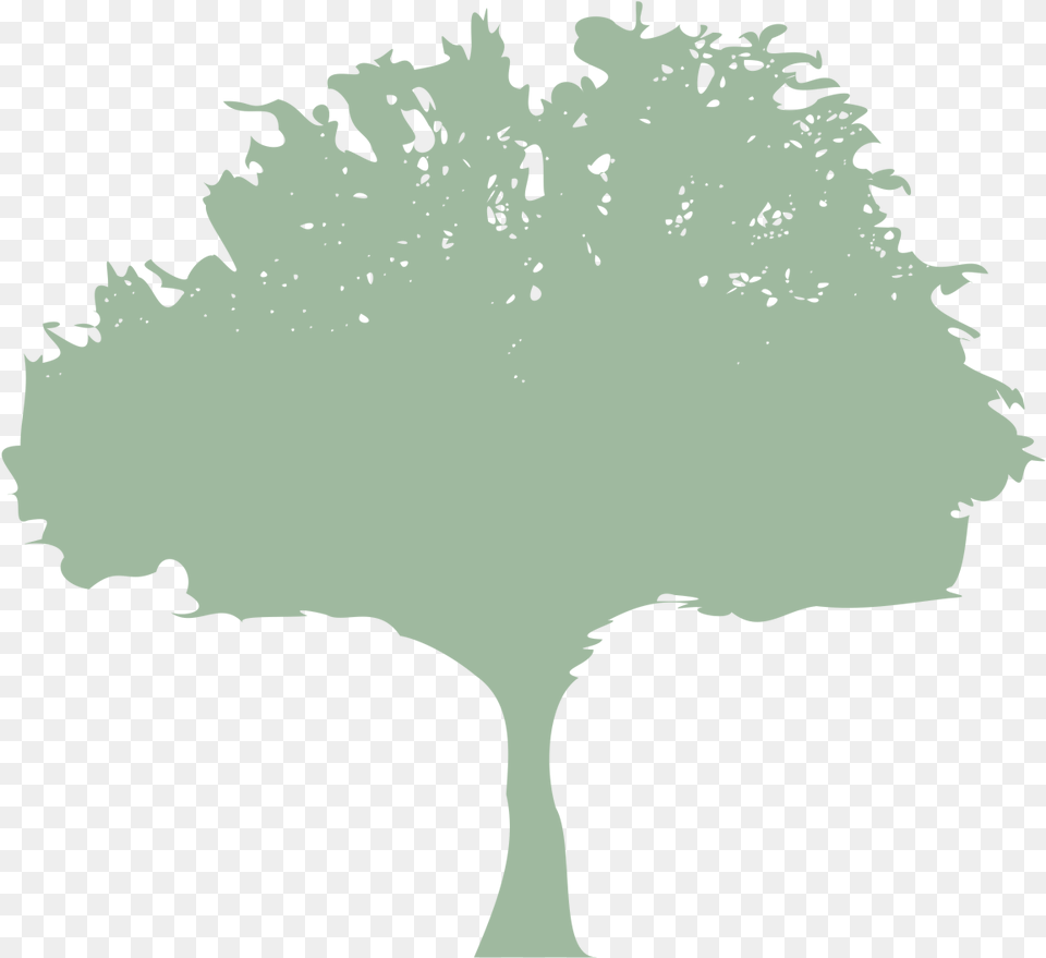 Hedge Cutting, Silhouette, Tree, Plant, Adult Png Image