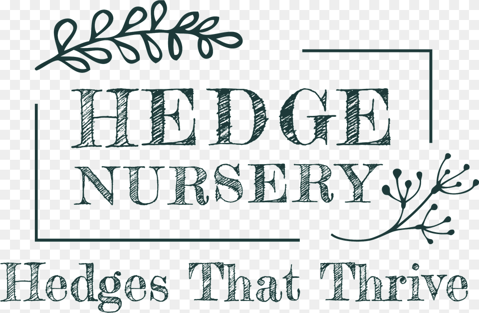 Hedge Nursery Calligraphy, Handwriting, Text Free Png Download
