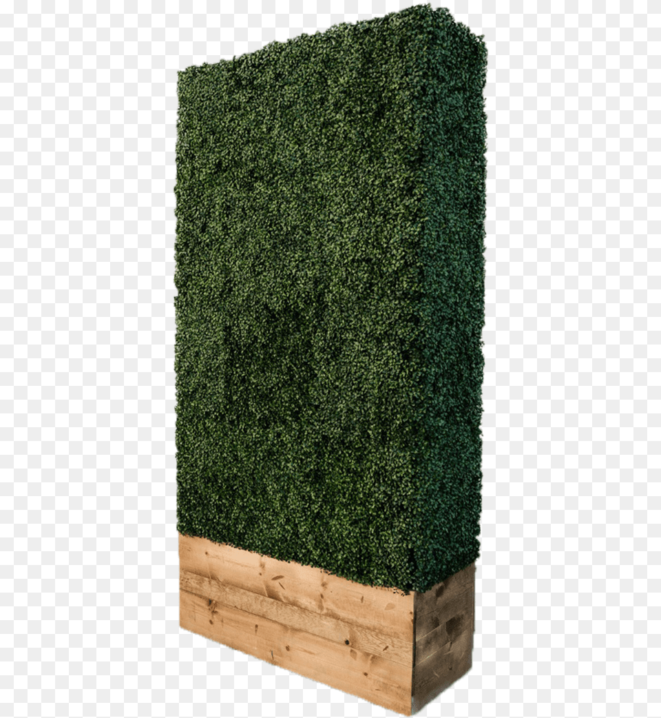 Hedge Wall Hedge, Fence, Plant, Potted Plant, Vase Free Png
