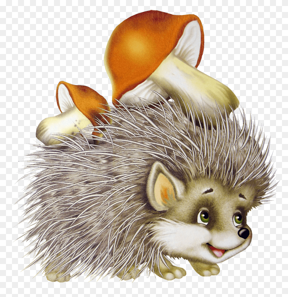 Hedgehog, Animal, Mammal, Bird Free Png