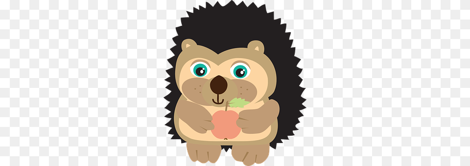 Hedgehog Animal, Bear, Mammal, Wildlife Png