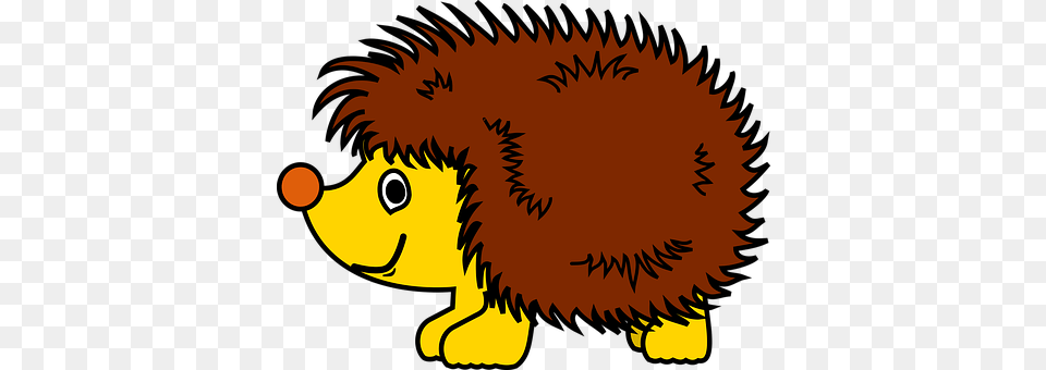 Hedgehog Animal, Mammal, Baby, Person Png