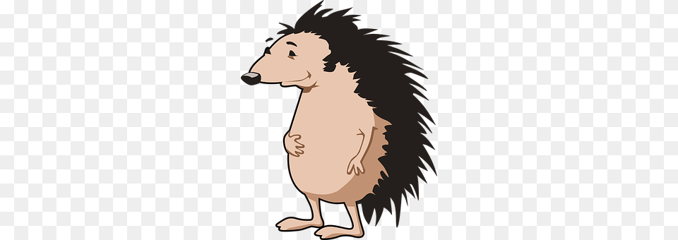 Hedgehog Person, Animal Free Png Download