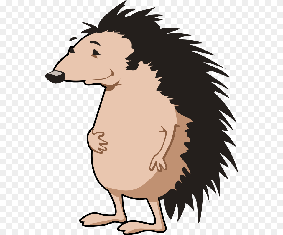 Hedgehog, Baby, Person, Animal, Bird Free Png