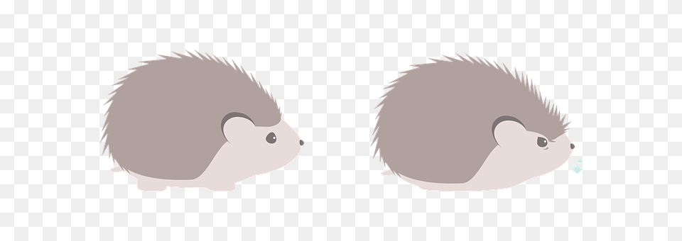 Hedgehog Animal, Mammal, Rodent, Clothing Free Transparent Png