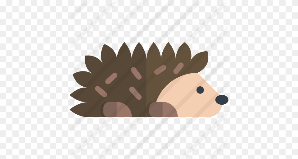 Hedgehog, Food, Nut, Plant, Produce Free Transparent Png