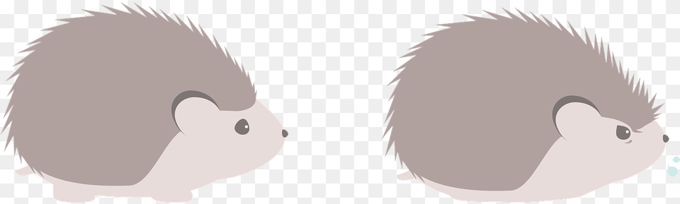 Hedgehog Animal Pet Clip Art Png