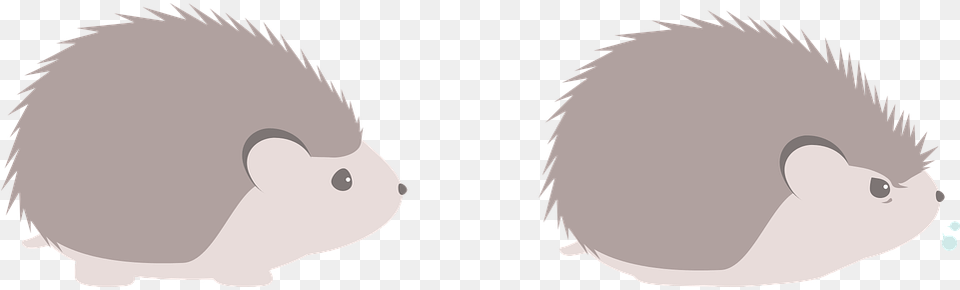 Hedgehog Animal Pet Vector Erizo Free Png Download