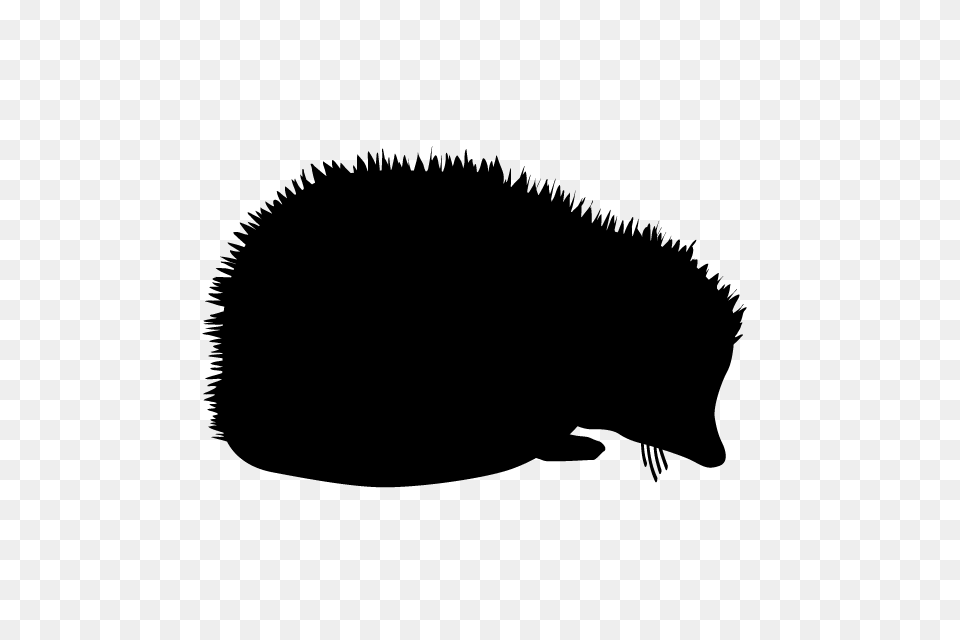 Hedgehog Animal Silhouette Illustrations, Gray Free Transparent Png