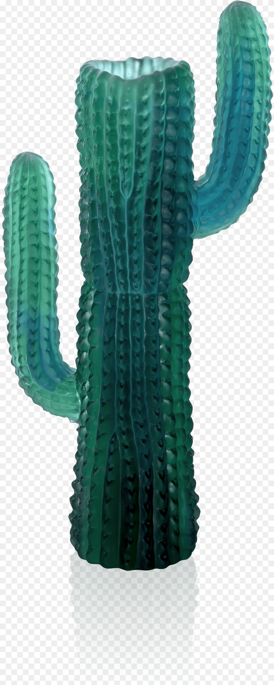 Hedgehog Cactus Free Png