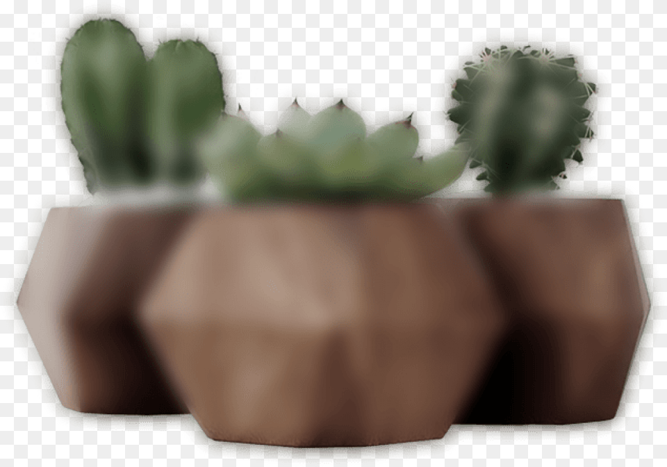 Hedgehog Cactus, Jar, Plant, Planter, Potted Plant Png