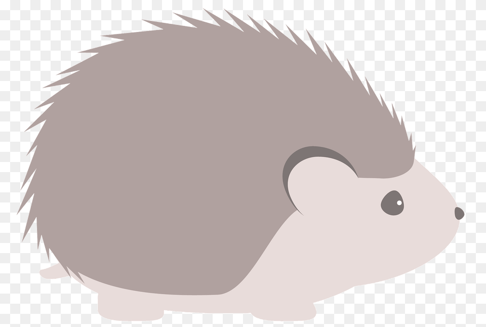 Hedgehog Clipart, Animal, Fish, Sea Life, Shark Png Image