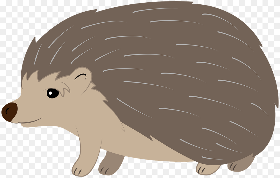 Hedgehog Clipart, Animal, Mammal, Fish, Sea Life Png