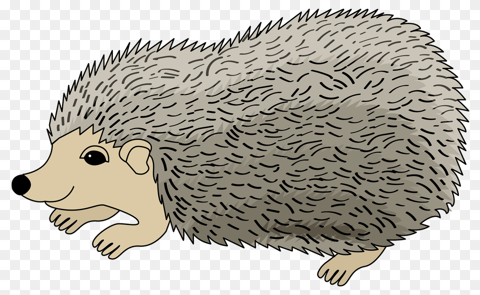 Hedgehog Clipart, Animal, Mammal, Head, Face Free Png Download