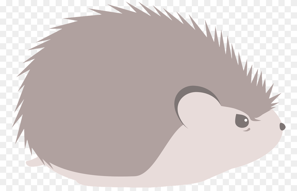 Hedgehog Clipart, Animal, Fish, Sea Life, Shark Png