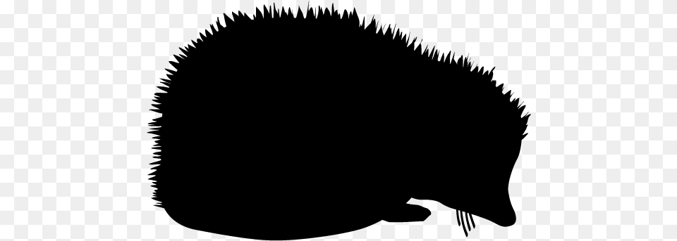 Hedgehog Clipart Silhouette, Gray Free Png